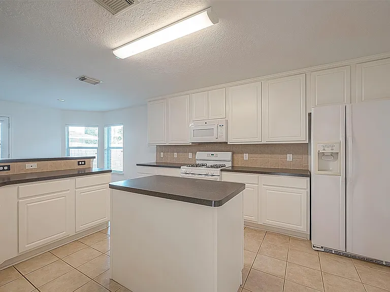 17210 Double Lilly Dr — Photo 15
