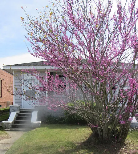 5309 4th St Photo 1