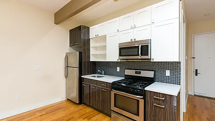 219 Pulaski Street, #3F