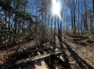 84 Black Oak, Sapphire, NC 28774