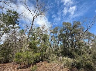 SW 158th Ln, Dunnellon, FL 34432