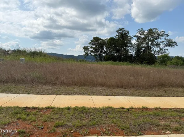 19 Glaze Farm Way, Johnson City, TN 37601