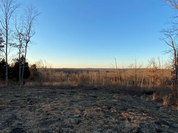 3 Bucks Crossing Ln, Richwoods, MO 63071