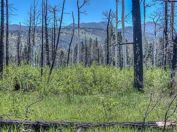 3rd image of 8&9 Paradise Acres