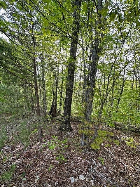 1st image of Na Hanging Limb Hwy
