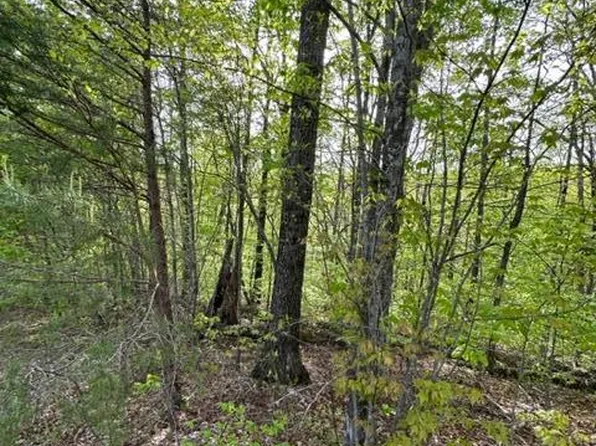 Na Hanging Limb Hwy, Crawford, TN 38554