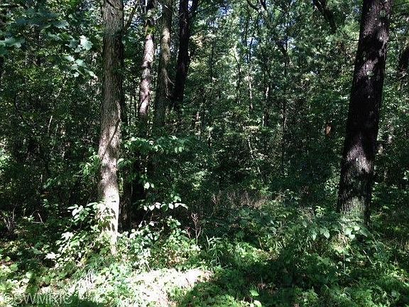 4th image of Centennial Oak Dr