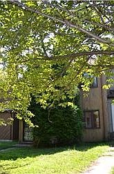 Beautiful Courtyard Entry
