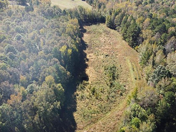 Food Plot