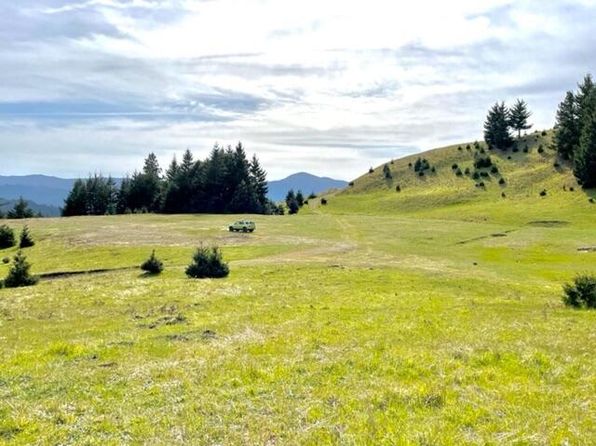 4001 Conklin Creek Rd, Petrolia, CA 95558