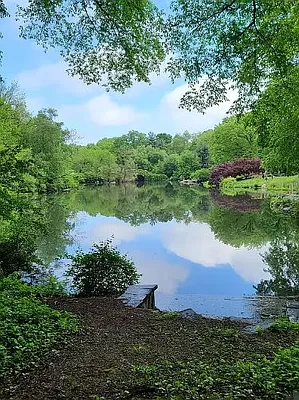 Rented by WAM Partners - William Moses Co. | media 4