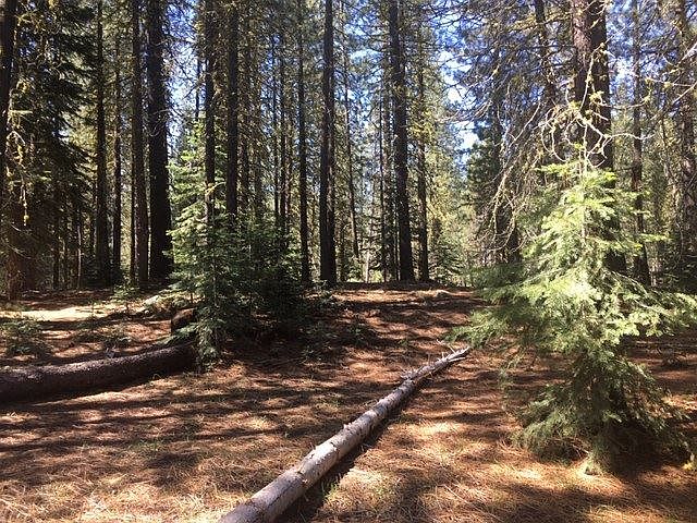 1st image of 7246 Warner Creek Dr