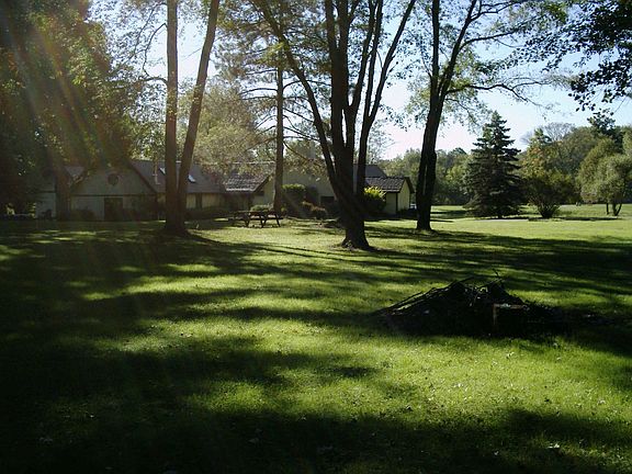 back yard