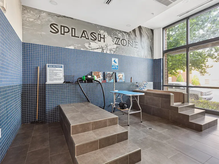 Midtown 205, Charlotte, NC, Pet Salon
