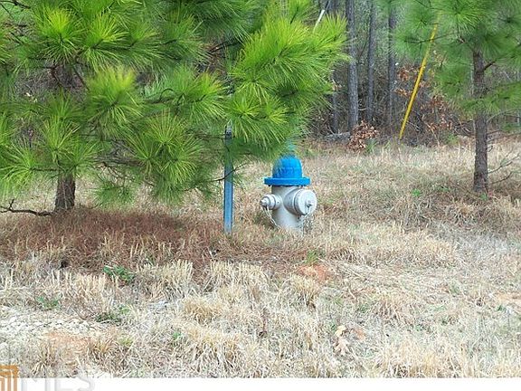 Fire Hydrant on Property