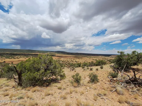 8 Last Mesa Rnch, Concho, AZ 85924