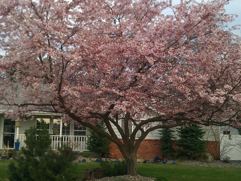 Springtime