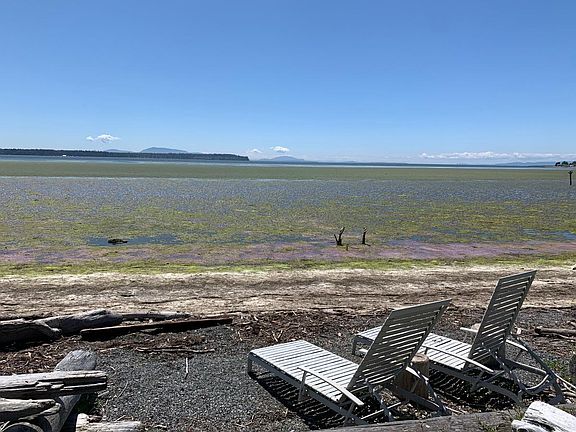 4th image of 8312 Birch Bay Dr