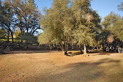 Pasture