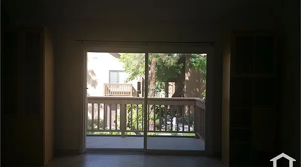 283 Tangelo — Photo 3
