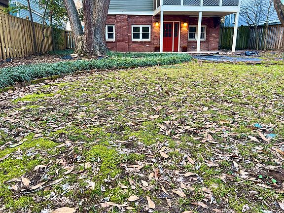 Part of shared backyard (to be replanted in spring)