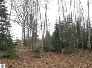 0 Indian Hill Rd, Honor, MI 49640