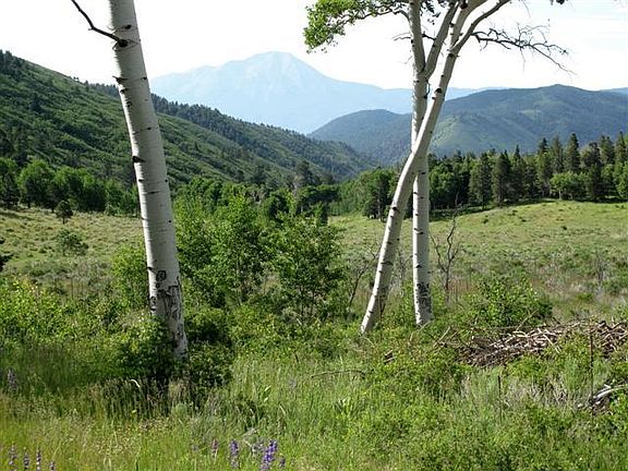 5th image of 4990 County Road 442
