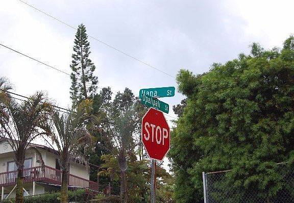 4th image of 25-89 Hana St #8
