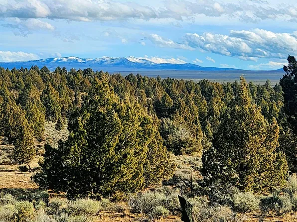Merrill Rd #Tl-1800, Brothers, OR 97712