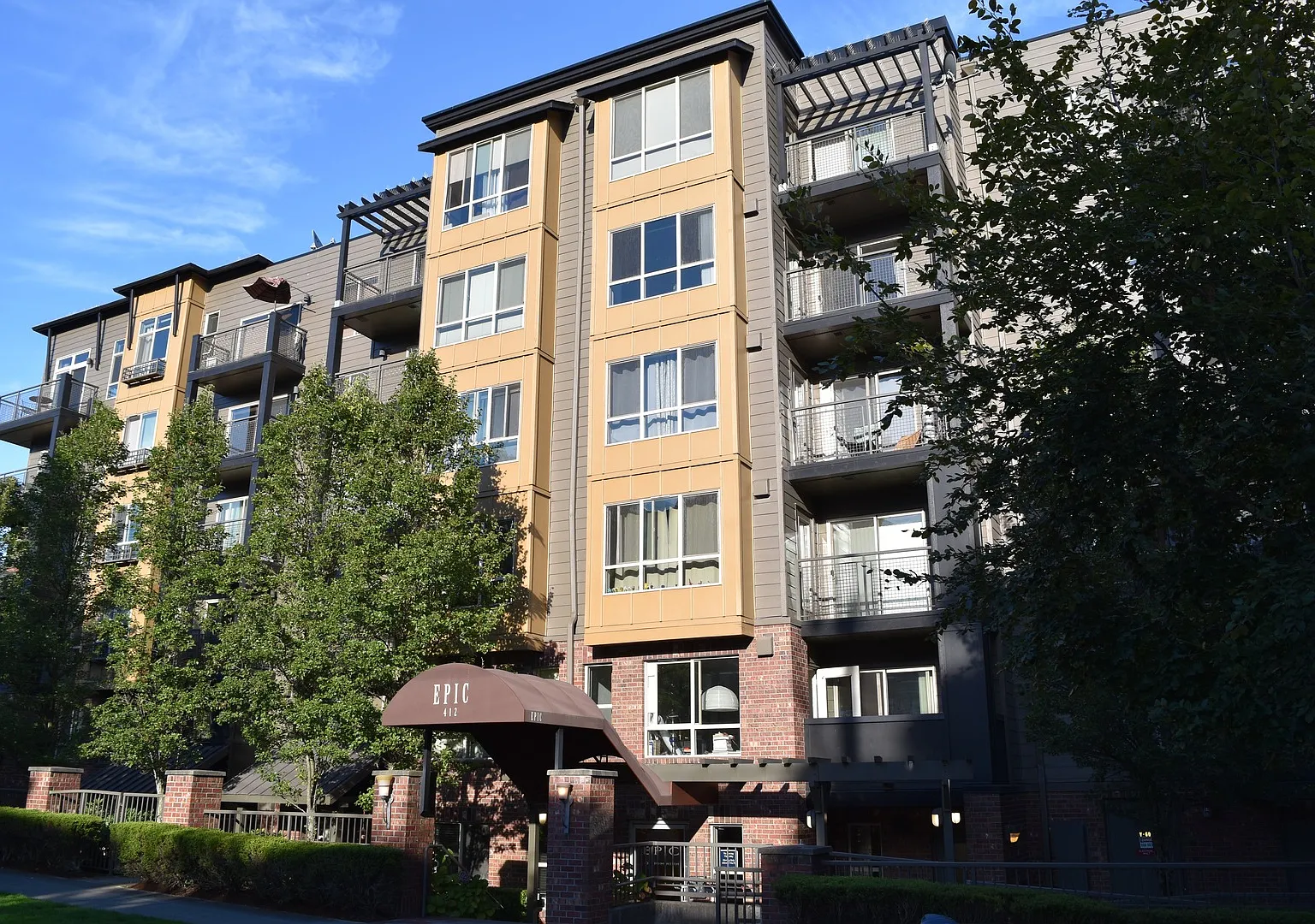 One Bedroom Studio With A View - Excellent Location! Available Now For $1750! — Photo 1