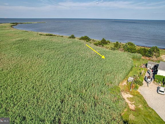 3rd image of 111 Driftwood Cir