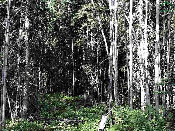5th image of Nhn Old Richardson Hwy