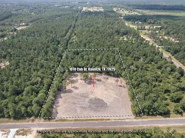 1010 Cub Dr, Kountze, TX 77625