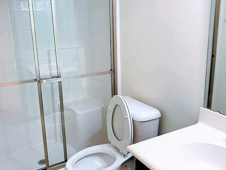 Walk-in shower in bonus room