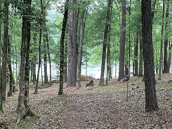 View of lake from back yard