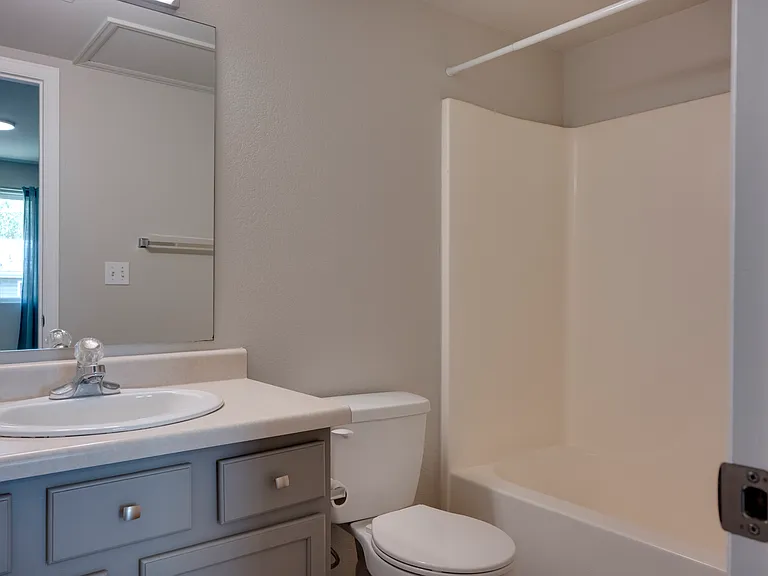 Ensuite master bathroom