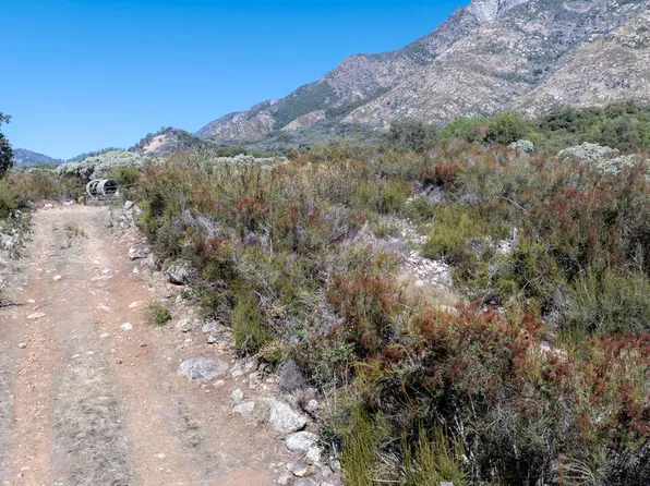 Blue Ridge Drive, Springville, CA 93265