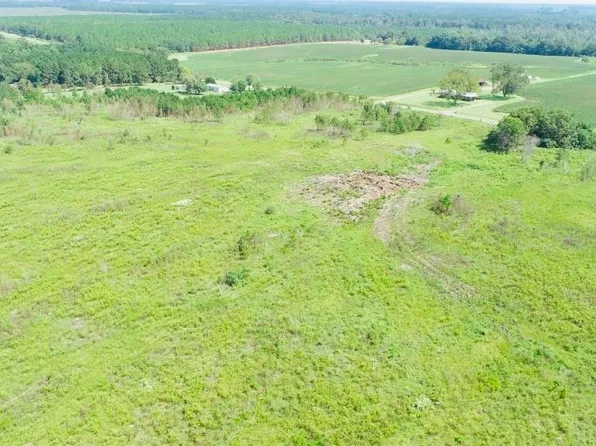 0 Mims Rd Tract 2, Byromville, GA 31007
