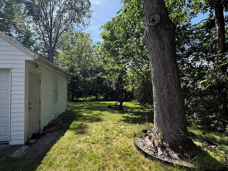 Backyard (View 2)