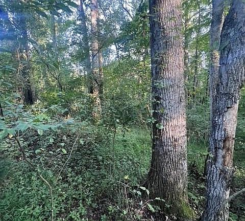 5th image of 0 Mount Bethel Church Rd Lot 2 & 3