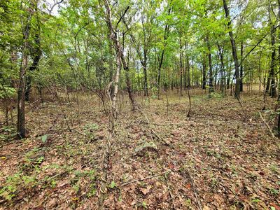 43 County Rd, Corning, AR, 72422