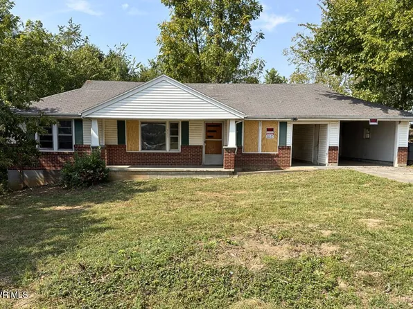 111 Kaywood Ave, Mt Carmel, TN 37645