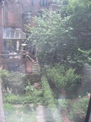 Rented by CNYC Apartments | media 88