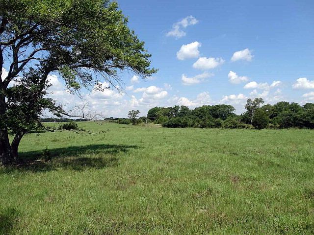 1st image of 11793 County Road 3904