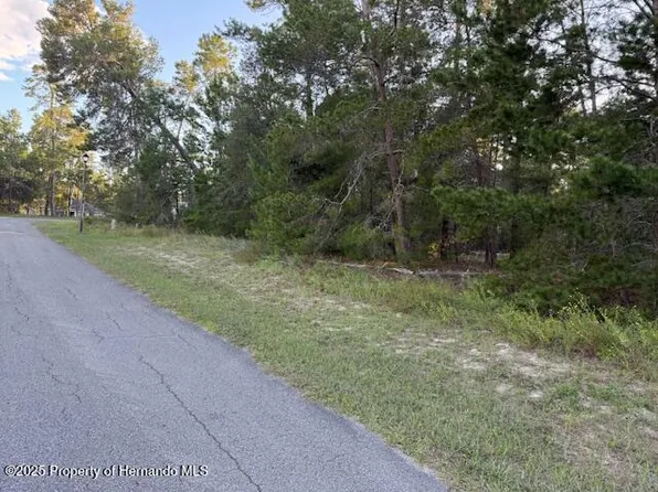 4 Bellis Ct, Homosassa, FL 34446