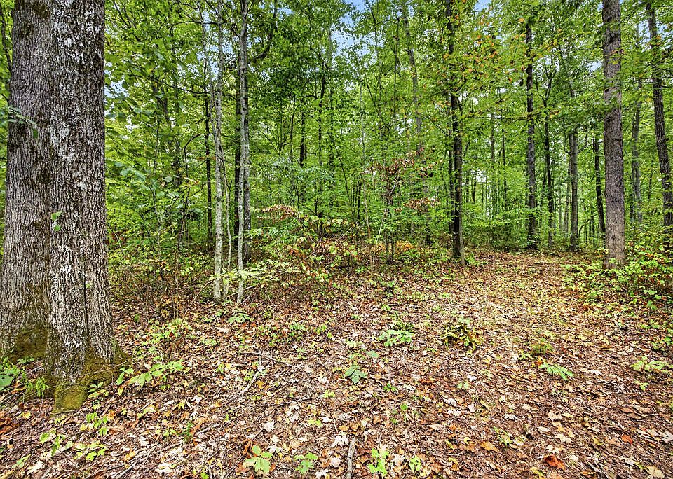 1st image of 22 Timber Ridge Ln #Phase Ii