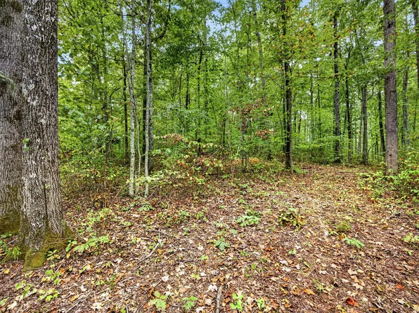 22 Timber Ridge Ln #Phase Ii, Celina, TN 38551