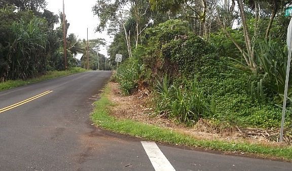 5th image of Niuhi St Lot 1279