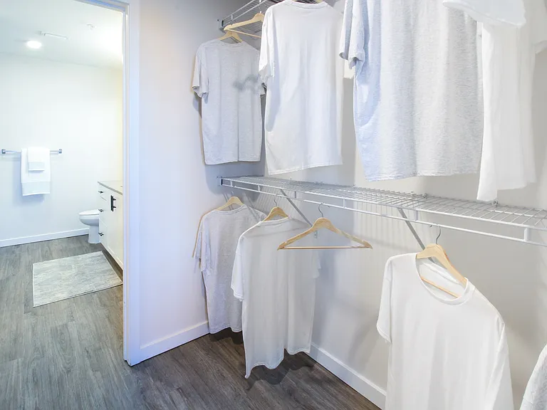 Canopy Walk-In Closet