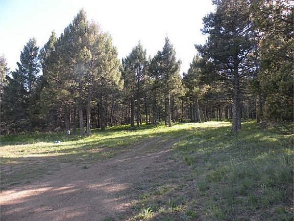 5th image of 3960 Divide Dr